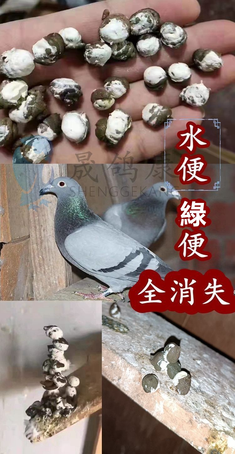 介紹5