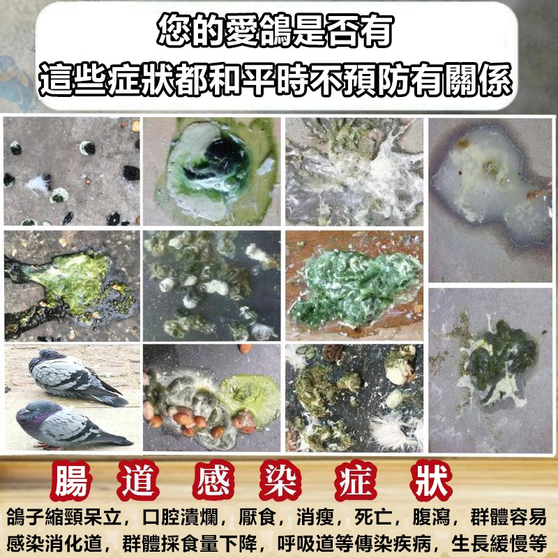 介紹6