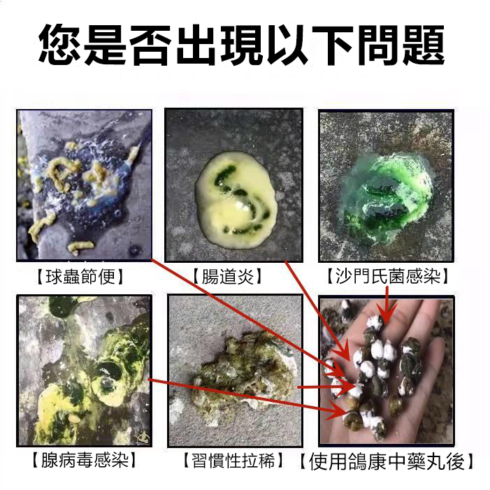 介紹4