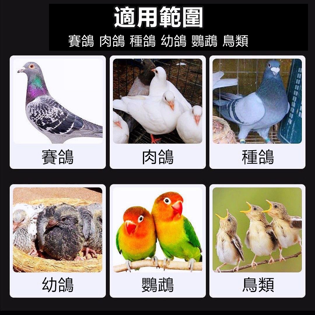 介紹8