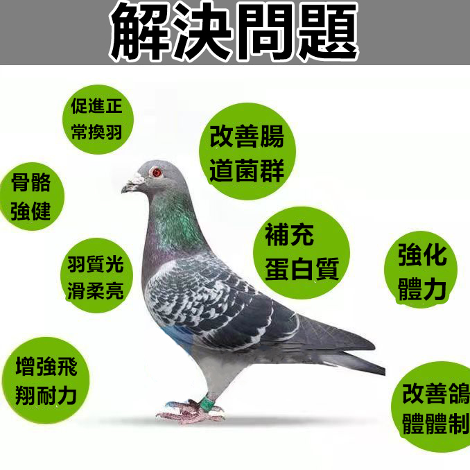 介紹7
